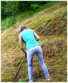 beatrice pisses her jeans gathering hay 01