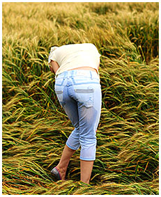 alice wets her jeans shorts in the wheat field 01